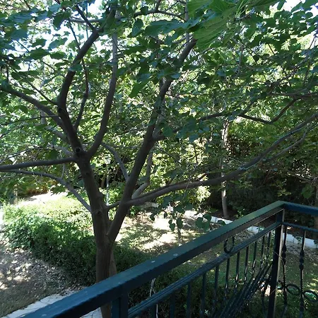 Panion Park فندق 2*