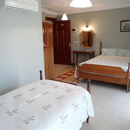 Panion Park كوشاداسيه